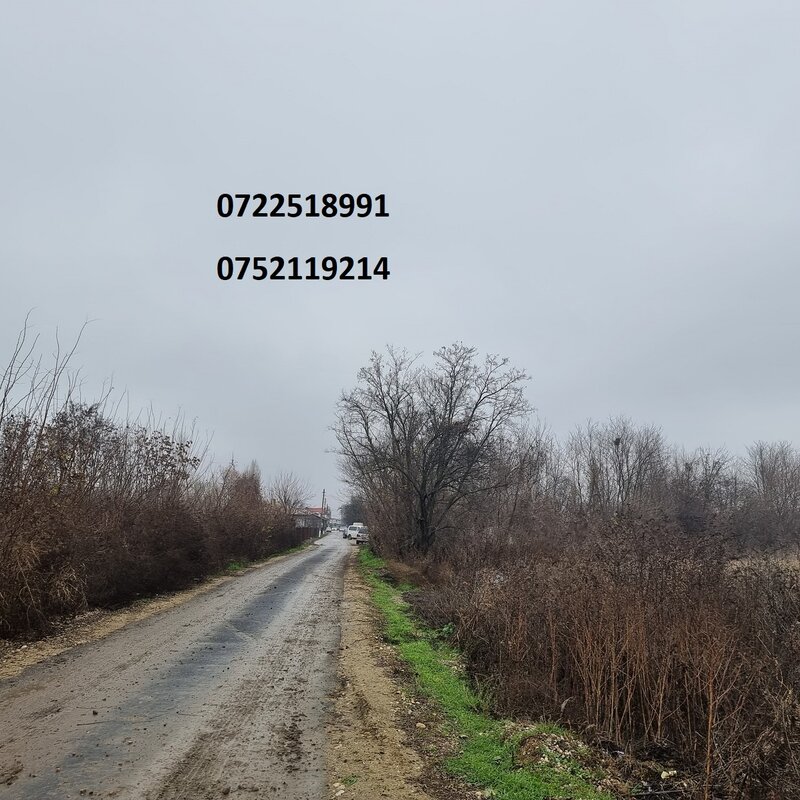 Bolintin, Autostrada A1, Palanca, km 31, teren 6 euro/ mp, ocazie.