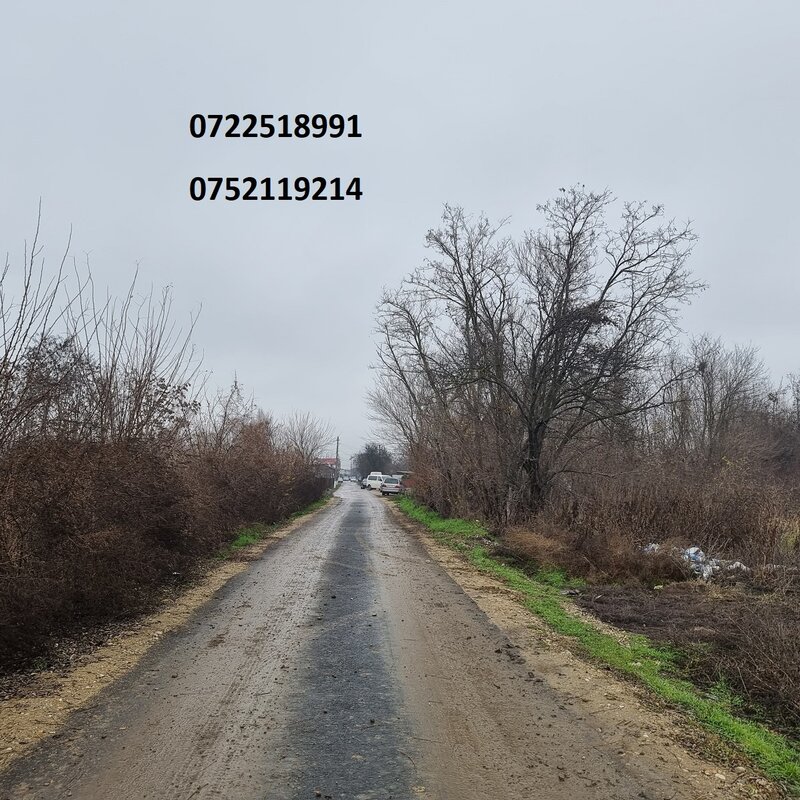 Bolintin, Autostrada A1, Palanca, km 31, teren 6 euro/ mp, ocazie.